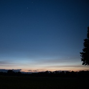<font class="tempImageTitleThumbText">Are These NLCs</font><br>Rick Thayer<br>Jun 10 9:25pm<br>Hadley, MA, USA