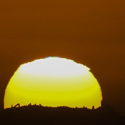<font class="tempImageTitleThumbText">Green Flash</font><br>Rob Sparks<br>Dec 22 10:26pm<br>Tucson, AZ