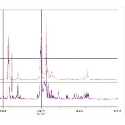 <font class="tempImageTitleThumbText">PMSE, Noctilucent Clouds Related.</font><br>Rob Stammes<br>Jun 15 8:42am<br>Polarlightcenter Lofoten Norway