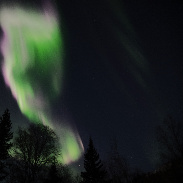 <font class="tempImageTitleThumbText">Aurora</font><br>Robert Trejo<br>Apr 2 8:49am<br>Alaska Range East of Mt. Denali