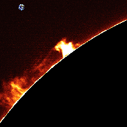 <font class="tempImageTitleThumbText">Sun Prominence</font><br>Roberto Brisig<br>Jan 29 11:12am<br>Osservatorio di Suno, Novara, I