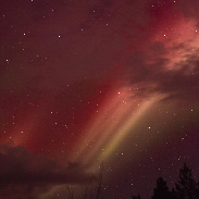 <font class="tempImageTitleThumbText">STEVE / Aurora</font><br>Rocky Raybell<br>Mar 24 2:37pm<br>Keller, Wa, USA