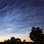 <font class="tempImageTitleThumbText">NLC</font><br>Roel Pannekoek<br>Jun 22 8:39am<br>Harderwijk (the Netherlands)