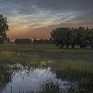 <font class="tempImageTitleThumbText">Noctilucent Clouds</font><br>Roman Banas<br>Jun 18 5:51pm<br>Świecie n/Wisłą, Poland