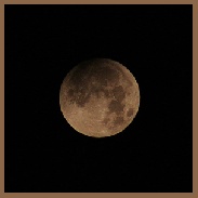 <font class="tempImageTitleThumbText">Partial Lunar Eclipse</font><br>Ron<br>Feb 2 10:55am<br>Tampa Florida