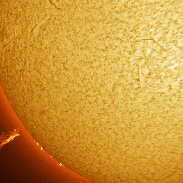 <font class="tempImageTitleThumbText">Erupting Prominence</font><br>Ron Cottrell<br>Jan 30 6:52pm<br>Oro Valley, Arizona