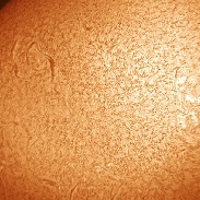 <font class="tempImageTitleThumbText">Large Prominence On NE Limb</font><br>Ron Cottrell<br>Mar 28 6:47pm<br>Oro Valley, Arizona