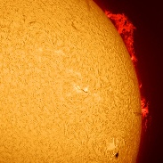 <font class="tempImageTitleThumbText">Large Prominence</font><br>Ron Cottrell<br>Mar 31 6:00pm<br>Oro Valley, Arizona