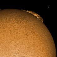 <font class="tempImageTitleThumbText">Eastern Limb Prominences And 2403</font><br>Ron Cottrell<br>Aug 22 9:01pm<br>Oro Valley, Arizona