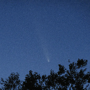 <font class="tempImageTitleThumbText">Comet C/2023 A3(Tsuchinshan-ATLAS)</font><br>Ron Myers<br>Oct 14 2:53am<br>Sacramento,CA. USA