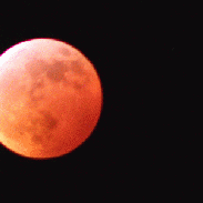 <font class="tempImageTitleThumbText">Star Occultation</font><br>Ron<br>Jan 26 11:46pm<br>Tampa Florida