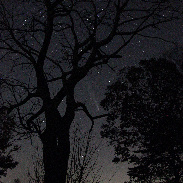 <font class="tempImageTitleThumbText">Comet 2023 A3 Tsuchinshan-Atlas</font><br>Ronnie Sherrill<br>Oct 21 2:15pm<br>Laural Springs North Carolina