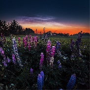 <font class="tempImageTitleThumbText">Noctilucent Clouds</font><br>Ruslan Merzlyakov<br>Jun 3 2:51pm<br>Hjørring, Denmark