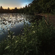 <font class="tempImageTitleThumbText">Noctilucent Clouds</font><br>Ruslan Merzlyakov<br>Jun 26 4:48pm<br>Tversted, Denmark