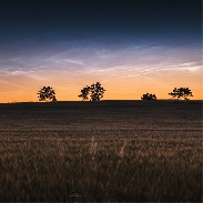 <font class="tempImageTitleThumbText">Noctilucent Clouds</font><br>Ruslan Merzlyakov<br>Jul 2 1:36pm<br>Tornby, Hjørring, Denmark