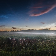 <font class="tempImageTitleThumbText">Noctilucent Clouds</font><br>Ruslan Merzlyakov<br>Jul 3 3:17pm<br>Tornby, Hjørring, Denmark
