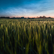 <font class="tempImageTitleThumbText">Noctilucent Clouds</font><br>Ruslan Merzlyakov<br>Jun 18 3:22pm<br>Nykøbing Mors, Denmark