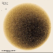 <font class="tempImageTitleThumbText">Sun, Filament, Prominence</font><br>richard cavello<br>Nov 21 5:48pm<br>Glen Cove,NY