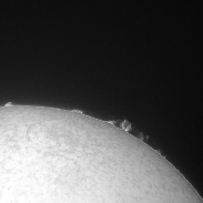 <font class="tempImageTitleThumbText">Solar Prominences 09/08/2014</font><br>Samuele Gasparini<br>Aug 9 12:04pm<br>Castelfiorentino (Italy)