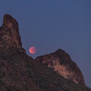 <font class="tempImageTitleThumbText">Lunar Eclipse</font><br>Scott Tucker<br>Feb 1 7:14am<br>Picacho Peak, AZ