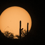 <font class="tempImageTitleThumbText">Mercury Transit</font><br>Scott Tucker<br>May 9 4:09pm<br>Tucson, AZ