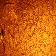 <font class="tempImageTitleThumbText">Huge Sun Spot 1944 And Prominence</font><br>Sergio Castillo<br>Jan 2 11:45pm<br>Inglewood,CA 
