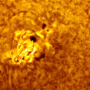 <font class="tempImageTitleThumbText">Active Sun Spots And Prominences</font><br>Sergio Castillo<br>Feb 14 2:16am<br>Inglewood,CA