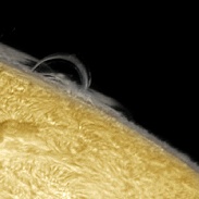<font class="tempImageTitleThumbText">Solar Loop Prominence</font><br>Sergio Castillo<br>Mar 10 5:36am<br>Inglewood,CA