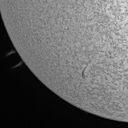 <font class="tempImageTitleThumbText">Twin Proms</font><br>Sergio Castillo<br>Apr 7 11:54pm<br>Inglewood,CA