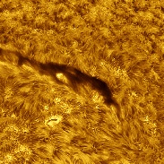 <font class="tempImageTitleThumbText">Proms,Sunspots And Filaments</font><br>Sergio Castillo<br>Aug 1 6:52pm<br>Corona,CA