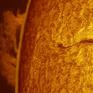 <font class="tempImageTitleThumbText">Monster Prom</font><br>Sergio Castillo<br>Sep 19 10:34pm<br>Corona,CA