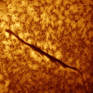 <font class="tempImageTitleThumbText">Super Solar Filament And Prominences</font><br>Sergio Castillo<br>Feb 6 8:41pm<br>Corona,CA