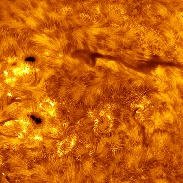 <font class="tempImageTitleThumbText">Solar Sun Spots And Prominences</font><br>Sergio Castillo<br>Jan 25 11:15pm<br>Corona,CA