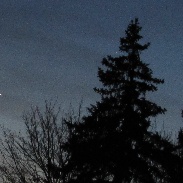 <font class="tempImageTitleThumbText">The Moon, Venus, And Mercury</font><br>Sherry ONeill<br>Mar 19 1:04am<br>Penn Hills, Pennsylvania