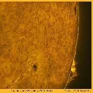 <font class="tempImageTitleThumbText">Sunspot And Prominance</font><br>Sormano Astronomical Observatory<br>Aug 29 8:57am<br>Sormano CO Italy