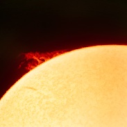 <font class="tempImageTitleThumbText">Solar Prominences</font><br>Steve Irvine<br>May 15 12:45pm<br>Georgian Bluffs, Ontario, Canad