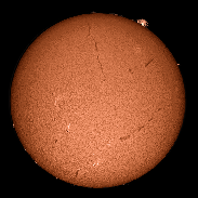 <font class="tempImageTitleThumbText">The Sun In H-alpha Light Showing A Large </font><br>Steve Wainwright<br>May 24 7:45pm<br>Blaengwynfi, S.Wales, UK