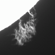 <font class="tempImageTitleThumbText">Prominence On The Sun</font><br>Steven Riegel<br>Apr 2 10:22pm<br>Colorado Springs, CO