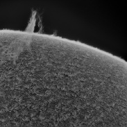 <font class="tempImageTitleThumbText">Filaprom Over Solar Limb</font><br>Stuart Green<br>Apr 27 4:20pm<br>Preston, Lancashire, UK