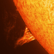 <font class="tempImageTitleThumbText">Huge Prominence !</font><br>Sylvain Weiller<br>Feb 6 11:01am<br>Jerusalem, Israel