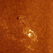 <font class="tempImageTitleThumbText">A Nice C Flare On AR3014 And Prominence</font><br>Sylvain Weiller<br>May 23 12:04pm<br>Jerusalem, Israel