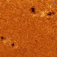 <font class="tempImageTitleThumbText">Sunspots AR 4478 & 4479 [Image Corrected!</font><br>Sylvain Weiller<br>Jun 30 2:33pm<br>Jerusalem, Israel