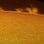 <font class="tempImageTitleThumbText">A Forest Of Little Prominences In 3D !</font><br>Sylvain Weiller<br>Mar 23 11:03am<br>Jerusalem, Israel