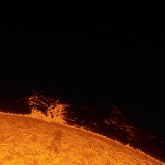 <font class="tempImageTitleThumbText">Forest Of Prominences</font><br>Sylvain Weiller<br>Mar 31 11:48pm<br>SAINT-RÉMY-LES-CHEVREUSE   
I