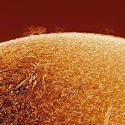 <font class="tempImageTitleThumbText">Sunspot AR2651 And Prominences</font><br>Sylvain Weiller<br>Apr 20 1:36pm<br>Jerusalem, Israel