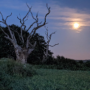 <font class="tempImageTitleThumbText">Noctilucent Clouds</font><br>scotty1<br>Aug 3 11:41am<br>Suffolk UK