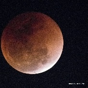 <font class="tempImageTitleThumbText">Total Lunar Eclipse 31st Jan 2018</font><br>Talha Zia<br>Feb 1 4:32pm<br>Karachi, Pakistan