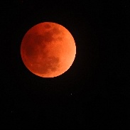 <font class="tempImageTitleThumbText">Lunar Eclipse</font><br>Terje Isberg<br>Feb 2 12:08am<br>Shizuoka City, Japan
