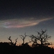 <font class="tempImageTitleThumbText">Noctilucent Clouds</font><br>Terry Loboschefsky<br>Nov 3 6:45pm<br>Dead Horse State Park, Utah