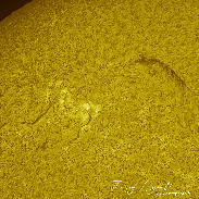 <font class="tempImageTitleThumbText">Todays Huge Prominence</font><br>Thierry Legault<br>May 23 12:17pm<br>Paris, France
